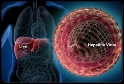 Illustration of liver and hepatitis virus.