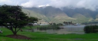 ibarra2